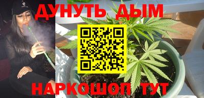 2c-b Новозыбков
