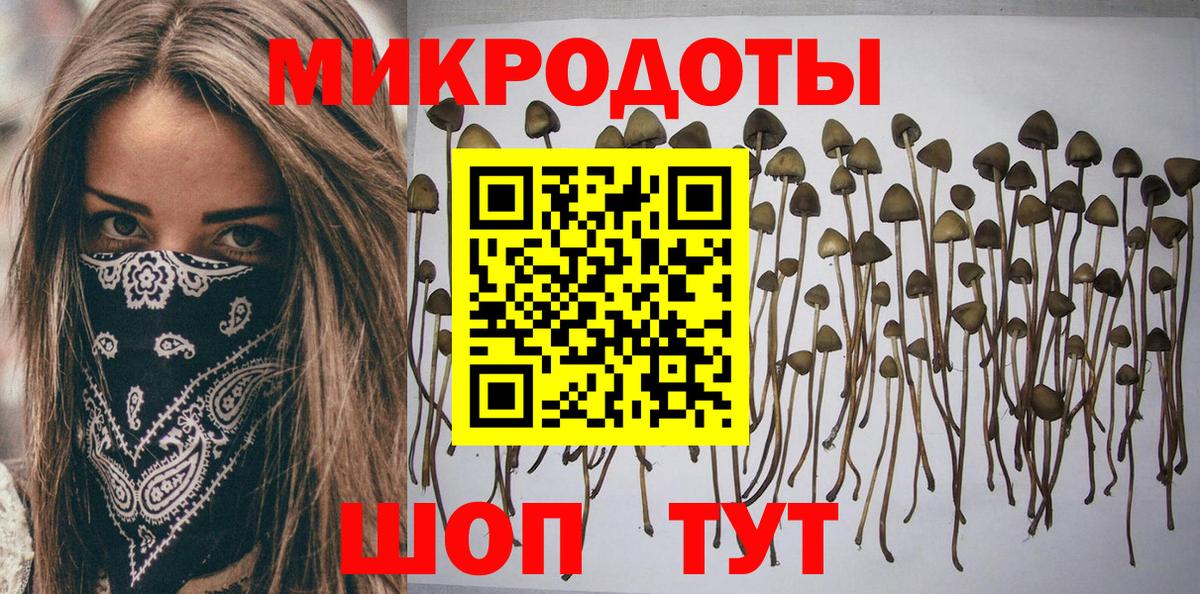 Сунжа  Галлюциногенные грибы MAGIC MUSHROOMS  Вход с VPN 